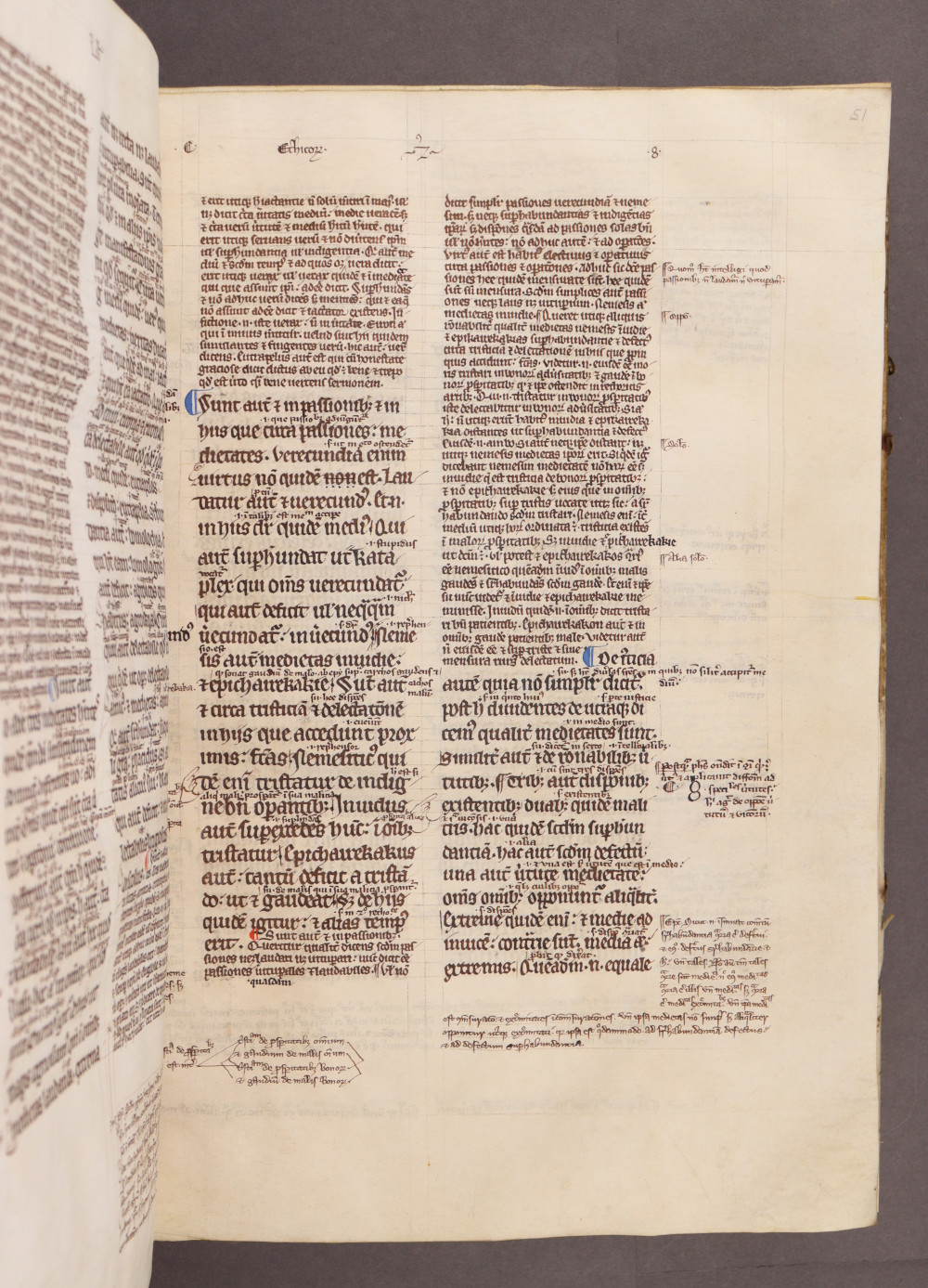 Folio 51 recto